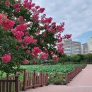 양산호수공원 이미지