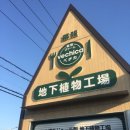 완성정비공장 이미지