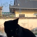 용덕슈퍼 이미지