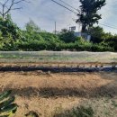 옥진농장 이미지