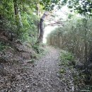 흑산 진리당 이미지