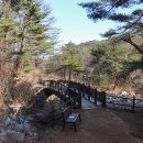 치악산둘레길 3코스 수레너미길 이미지