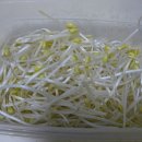 오천만주유소 이미지