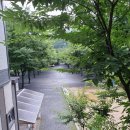 금방아 민박 캠핑장 이미지