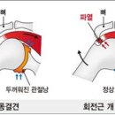 평거연합의원 이미지