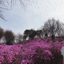 부천8경 포토존2 이미지