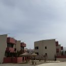 스테이인터뷰파도리 | 바다뷰가 보이는 스테이인터뷰 파도리 애견동반 가능한 펜션 A-4 내돈내산으로 다녀온 후기