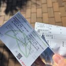 거제남서로 | 거제 아이랑 가볼만한곳 거제식물원｜정글돔 새둥지 포토존 솔직 후기