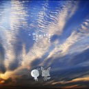 오늘의 선물 이미지