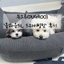 pet57라2750 | [강아지카시트] 두그루 &#39;올라운드L 드라이빙킷&#39; 후기 /DUGROO