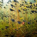 스미스라이프(Smith Life) 이미지