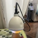 반포트라이엄프메딕스빌딩 이미지