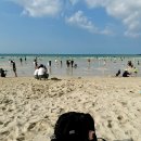 마인드앤바디밸런스