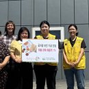 제주담다