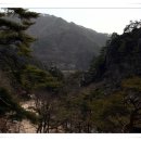 박달재자연휴양림 티스토리