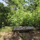 화실재-바래봉-진밭산-동구지산-덕대산-국사봉-중봉-모성산-구성면행정복지센터 이미지