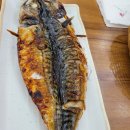털보고된이 광교점