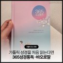 가톨릭성경 천주교 성경책을 처음 읽는다면?바오로딸 365성경통독 도서 추천