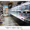 애견용품아울렛 이미지