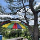 예다솜어린이집 이미지