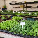 대송농장 이미지