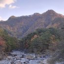 미천골 자연휴양림 &amp; 선림원지 이미지