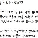 진성투토펠리체 이미지