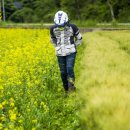 진도주조장 이미지