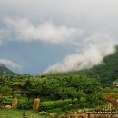 구름나그네 이미지