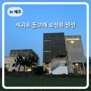 제이앤아이 | 제주도 서귀포 돌고래 오션뷰 숙소 제이앤클로이 이용후기