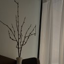스튜디오위크 이미지