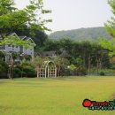 홍천엔 한옥 펜션 이미지