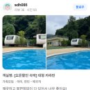 잼잼
