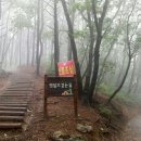 황토와소나무 이미지