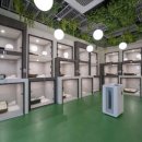 24시애견미용 이미지