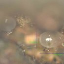 선행농원 이미지