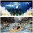 아쿠아플라넷 여수 이미지