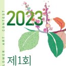 야생초