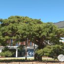 장수군조합공동사업법인