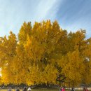 반계1리마을회관 이미지