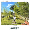 시민카랜드 | 안동 유교랜드 아이들과 함께 다녀온 생생 후기