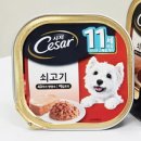 시저