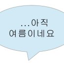 토모토카레