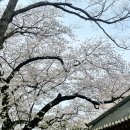 기지시리(행복) 티스토리