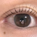 신안로 | 진주 속눈썹펌 눈썹잔흔 문신제거 후기 신안동 아누보