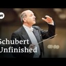 Schubert: Symphony No. 8 Unfinished | Iván Fischer &amp; Budapest Festival Orch 이미지