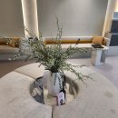 아네프의원 | 경기도 남양주시 다산1동 대상포진 전문병원 추천 | 무료접종 | 예방접종