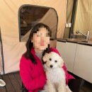 오로라애견 | 🏕️“포천 애견동반 글램핑 추천｜블루펫 글램핑 후기 – 오로라 불멍·군감자·고기구워먹기 딱 좋은...