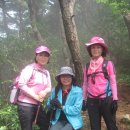 곡성-134 이미지