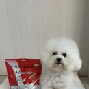 수플러스덴탈 | 강아지 덴탈껌 A2 이지츄 도그시그널 덴탈 플러스